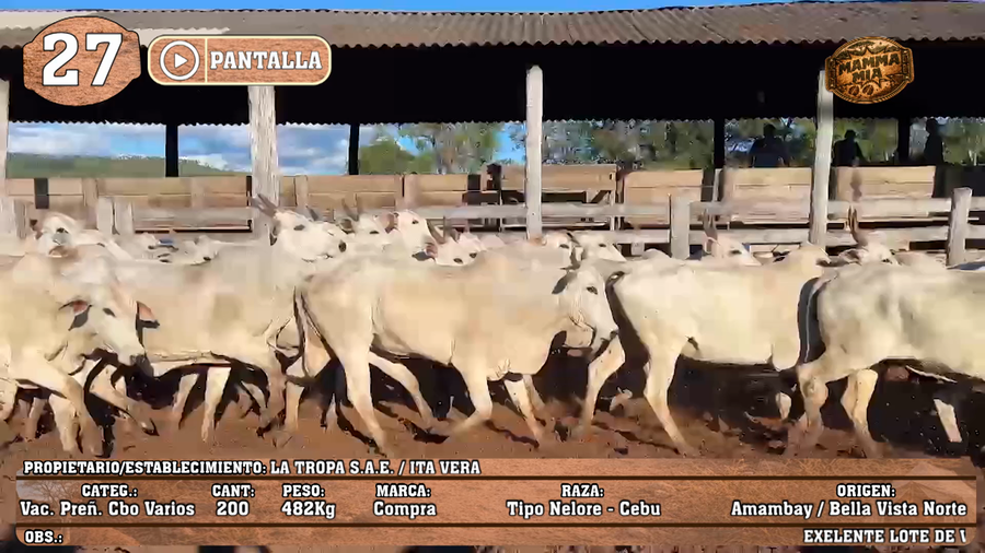 Lote LOTE 27 - POR PANTALLA