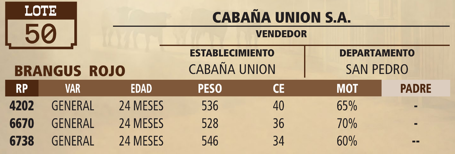 Lote LOTE 50 - PANTALLA