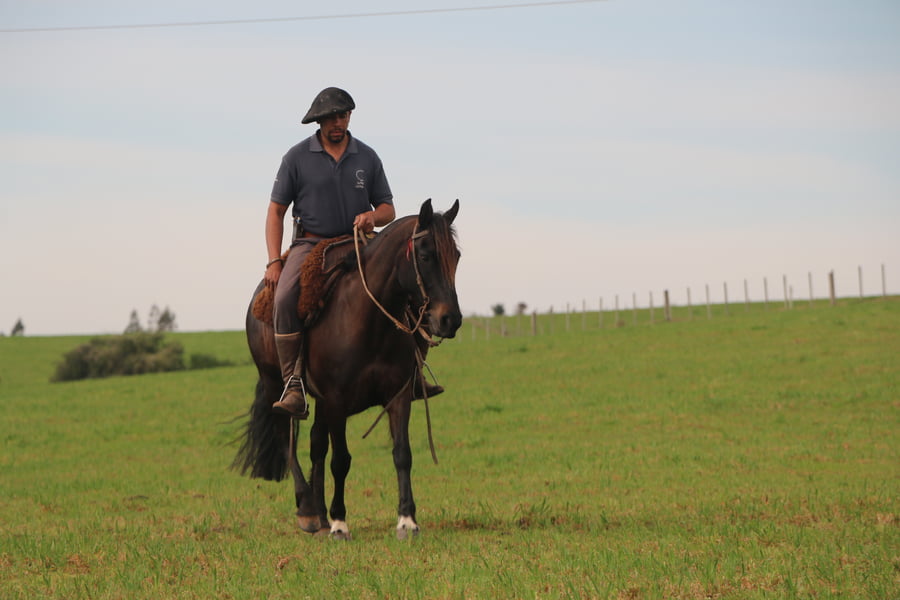 Lote ARPILLERA DEL CONVENTOS
