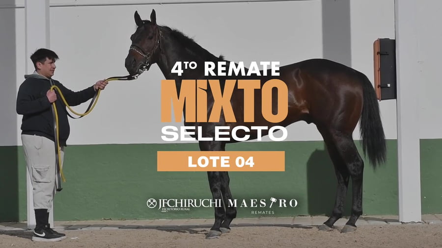 Lote FIGARO