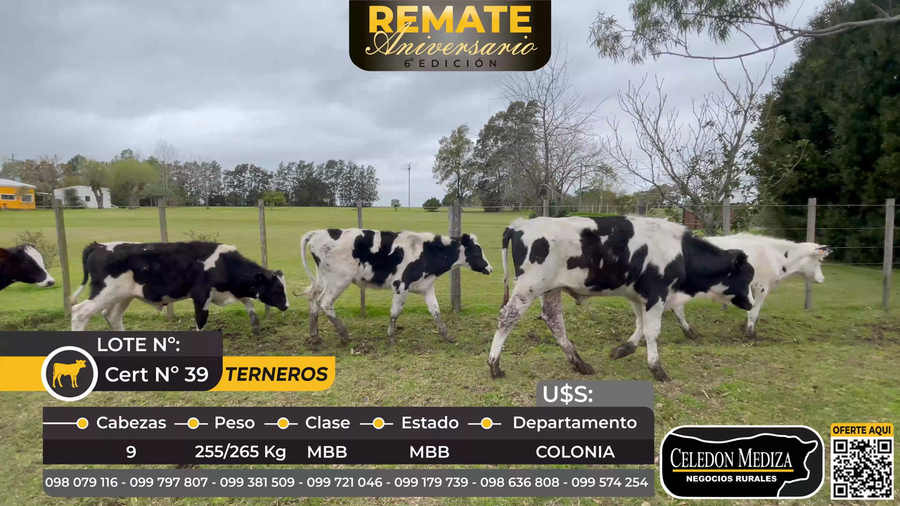 Lote 9 Terneros en Tarariras, Colonia