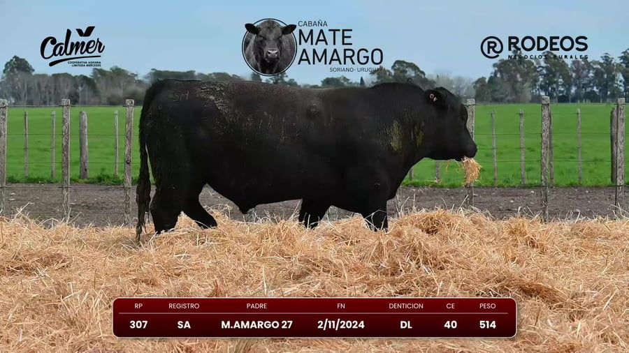 Lote RP 307 SA