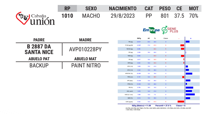 Lote LOTE 52