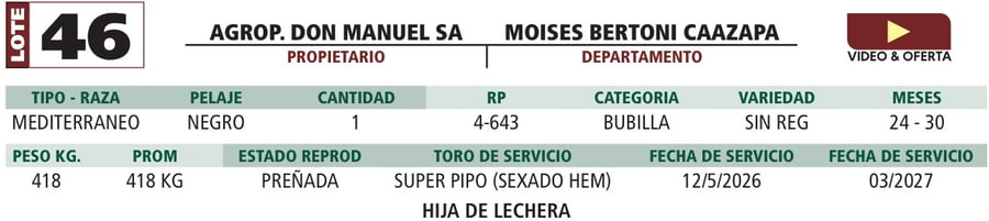Lote LOTE 46