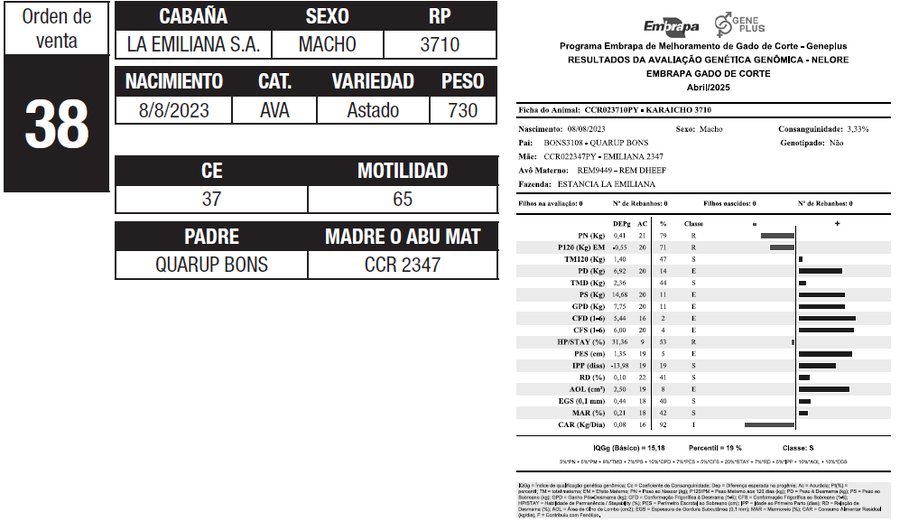 Lote LOTE 38