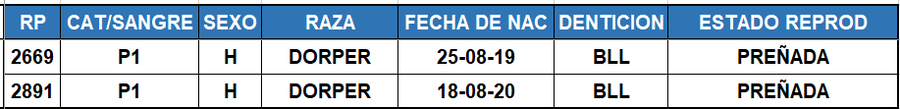 Lote LOTE 42