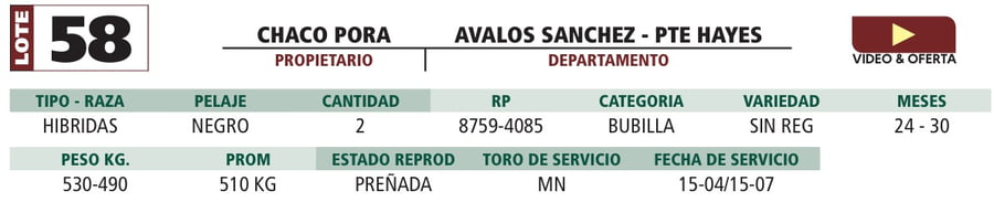 Lote LOTE 58