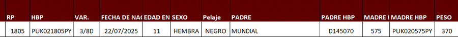 Lote LOTE 17
