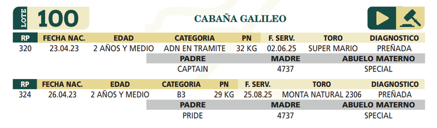 Lote LOTE 100