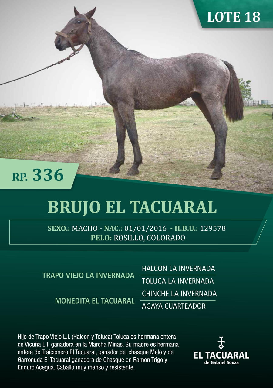Lote BRUJO EL TACUARAL - R.P. 336