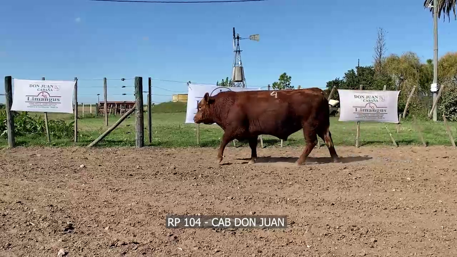 Lote RP 104 DON JUAN