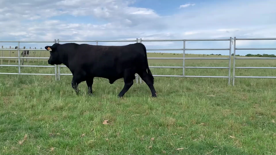 Lote "El Gualicho", RP 253