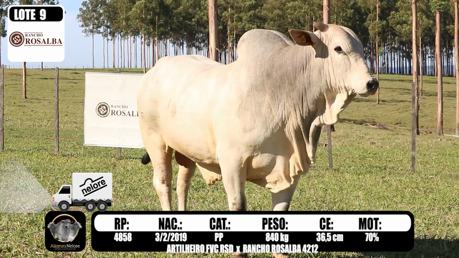 Lote LOTE 9-  RP 4858