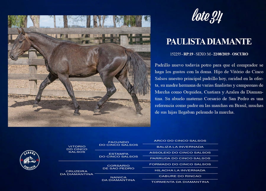 Lote Paulista Diamante