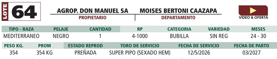 Lote LOTE 64