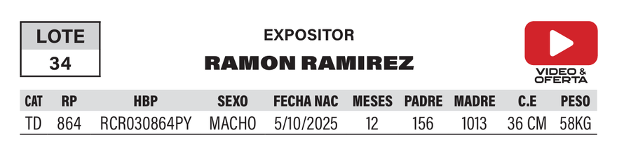 Lote LOTE 34