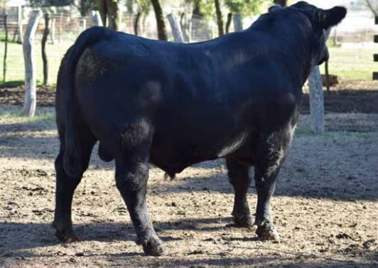 Lote CABAÑA "COEMBOTA" DE CALDERÓN RP 176