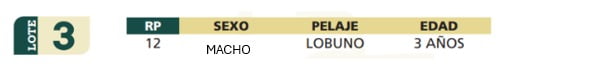Lote LOTE 3