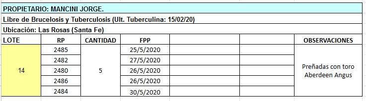Lote 5 Vaquillonas en Las Rosas, Santa Fe
