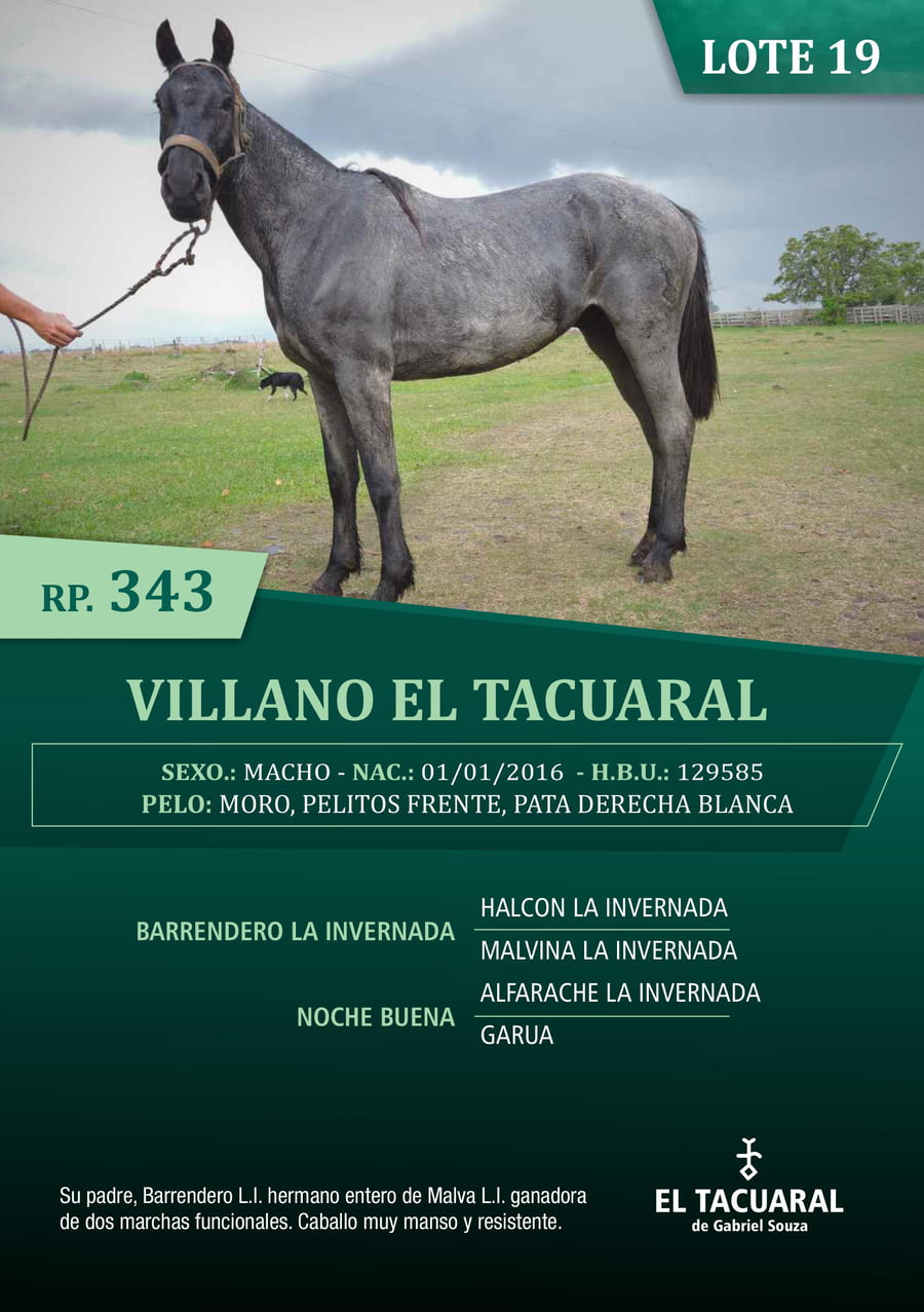 Lote VILLANO EL TACUARAL - R.P. 343