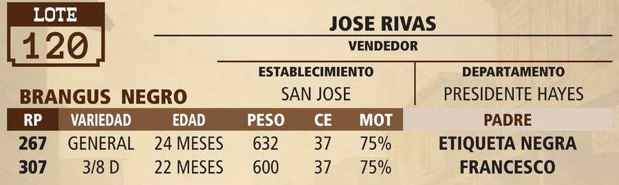 Lote LOTE 120 - VIVO