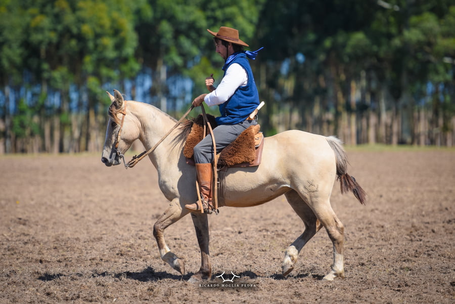 Lote RP 103 - Escarcha