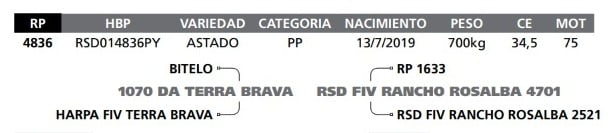 Lote LOTE 22- RP 4836