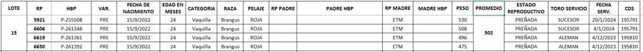 Lote LOTE 15