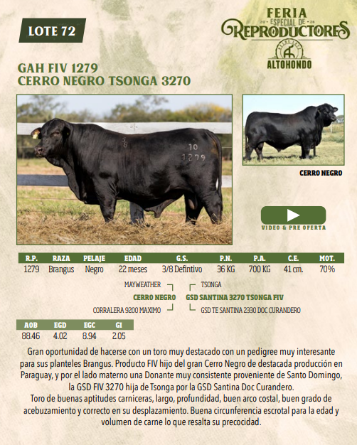 Lote LOTE 72