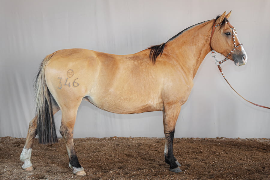 Lote Lucrecia Caraguata - Cabaña Don Luis