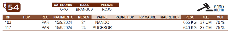 Lote LOTE 54