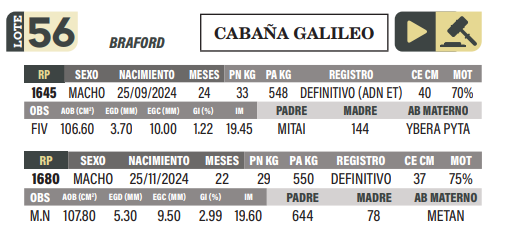 Lote LOTE 56