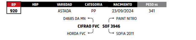 Lote LOTE 39