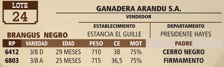 Lote LOTE 24 - VIVO