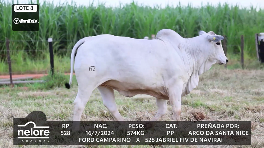 Lote LOTE 8