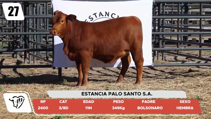 Lote LOTE 27