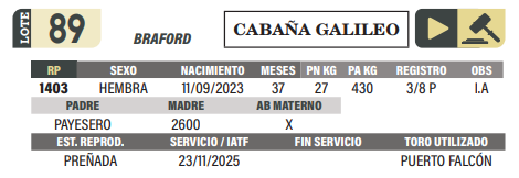 Lote LOTE 89