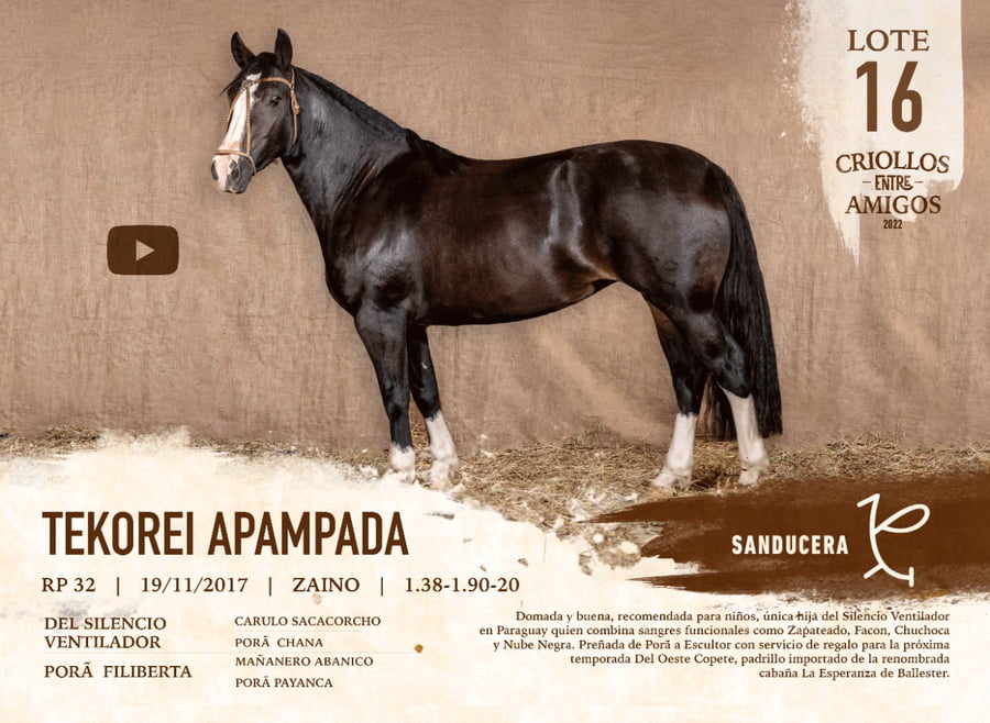 Lote TEKOREI APAMPADA RP 32