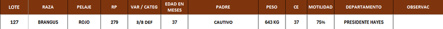 Lote LOTE 127
