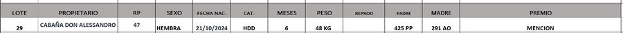 Lote LOTE 29