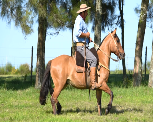 Lote El Gavilán Marco Polo (RP 424) Cabaña "El Gavilán"