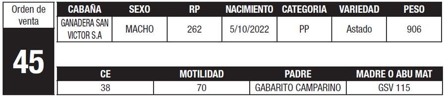 Lote LOTE 45