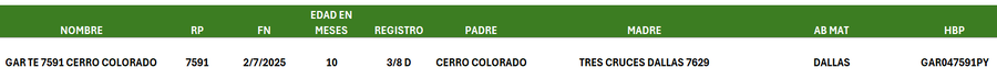 Lote LOTE 28