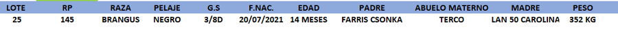 Lote LOTE 25