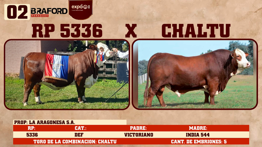 Lote LOTE 2