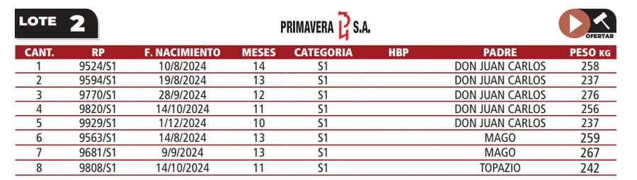 Lote LOTE 2