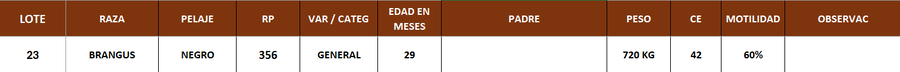 Lote LOTE 23
