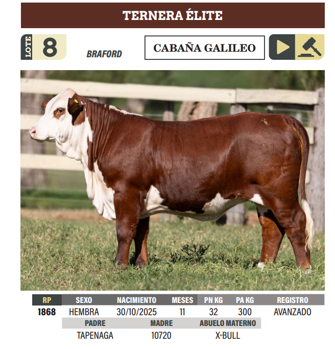 Lote LOTE 8