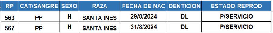 Lote LOTE 65