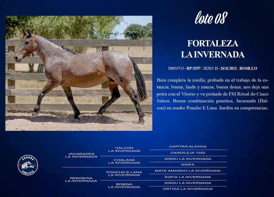 Lote Fortaleza La Invernada